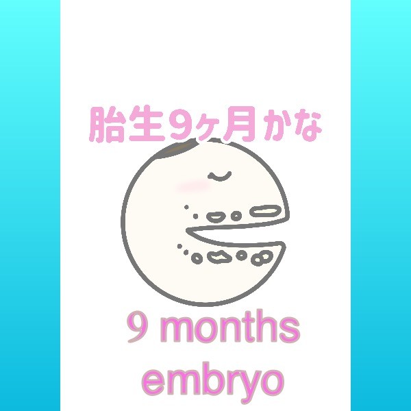 9 months embryo by dentlogs