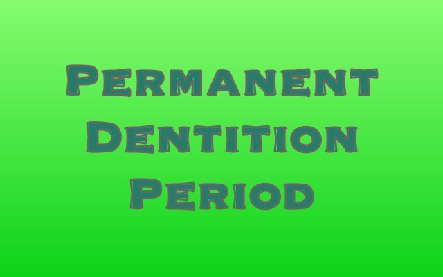 Permanent Dentition Period by dentlogs